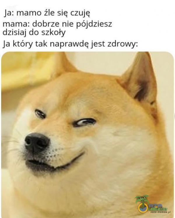 Ja: mamo źle się czuję mama: dobrze nie pójdziesz dzisiaj do szkoły Ja który tak naprawdę jest zdrowy: