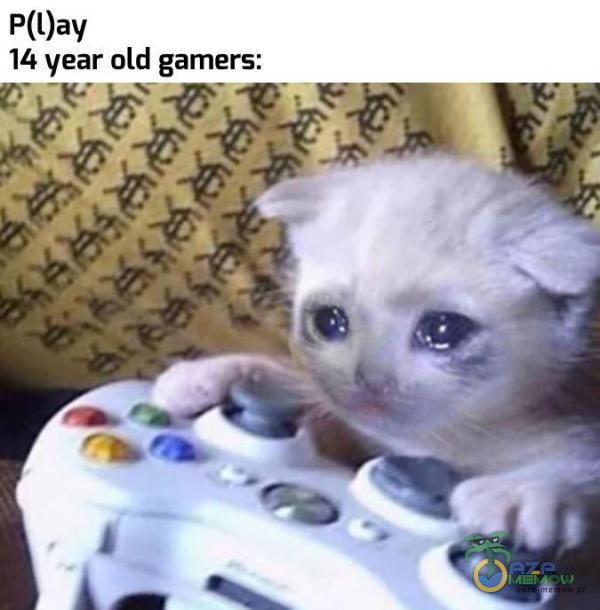 P(lay 14 Year old gamers: