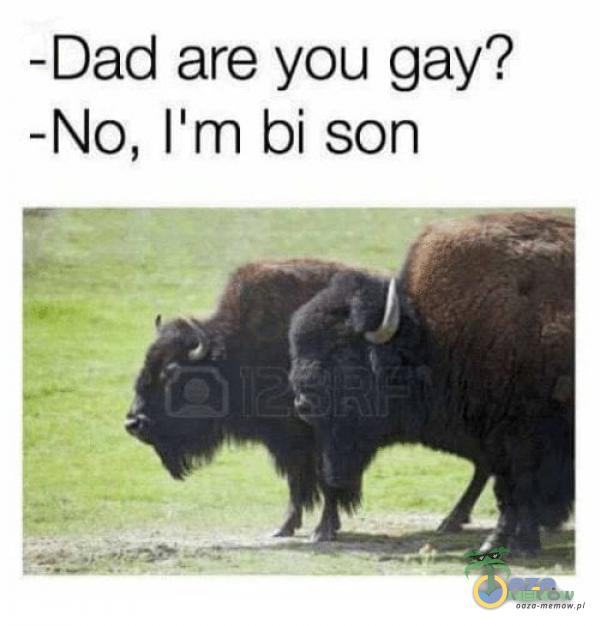 -Dad are you gay? -No, I m bi son