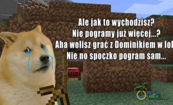 Ale jak to wychodzisz? Nie pogramy już Aha wolisz grat z Dominikiem w 101 Nie no SDOCZkO pogram