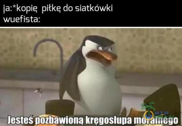 ja:*kopię pilke co siatkówki