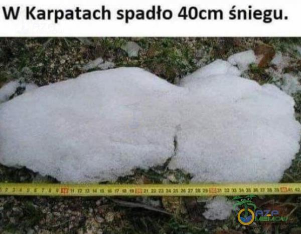 W Karpatach spadło 40cm śniegu.