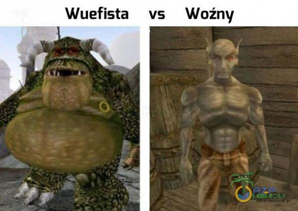 Wuefista vs Woźny
