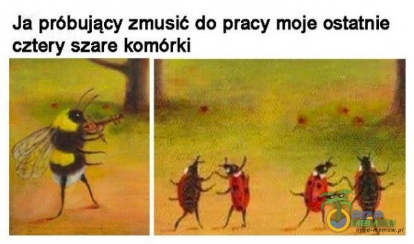 Ja próbujący zmusić do pracy moje ostatnie cztery szare komórki