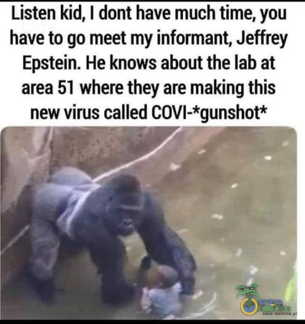 Listen kid, I dont have much time, you have to go meet my informant, Jeffrey Epstein. He knows about the lab at area 51 where they are making this new virus called COVI-*gunshot* H a