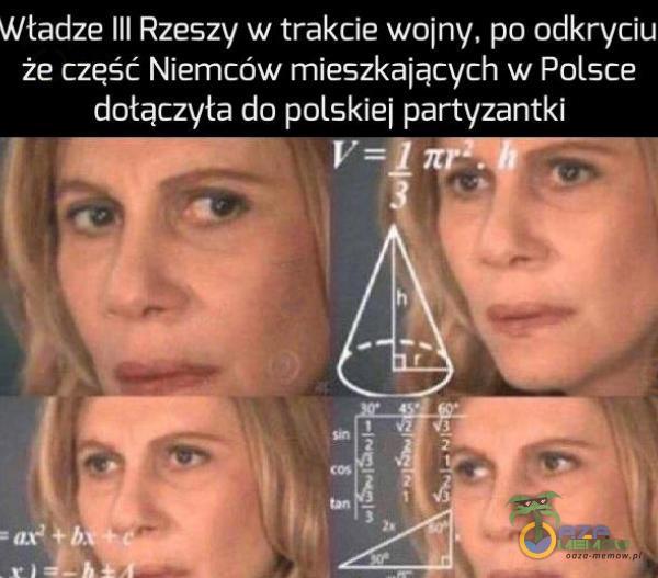 Władze III Rzeszy w trakcie wojny, po odkryciu że część Niemców mieszkających w Polsce dołączyła do polskiej partyzantki