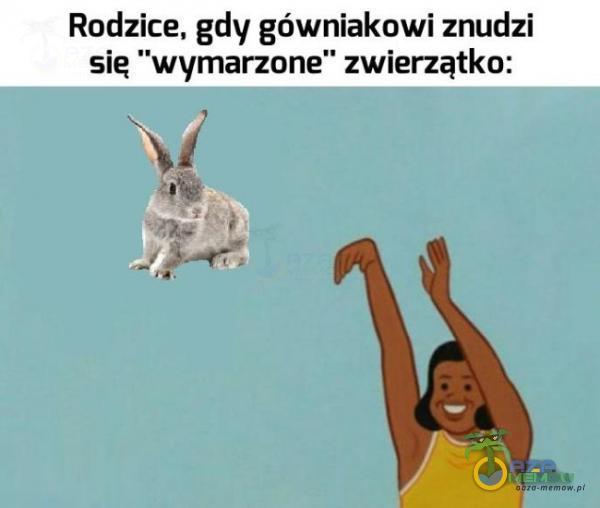 Rodzice, gdy gówniakowi znudzi sie wymarzone” zwierzątko: