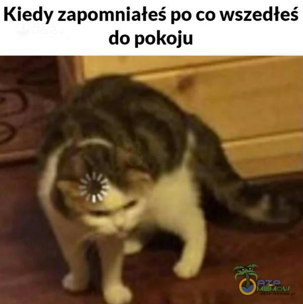 Kiedy zapomniałeś po co wszedłeś do pokoju