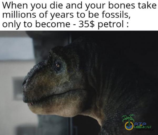 When you die and your bones take millions of years to be fossils, only to bee - 35$ petrol :