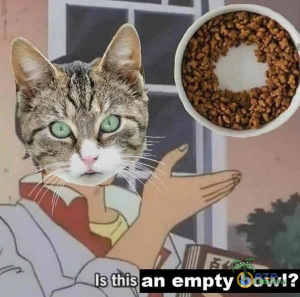 Is this an empty bowl?