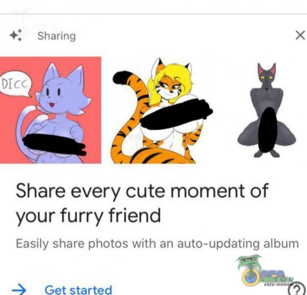 Sharing Dlcc x Share every cute moment of your furry friend Easily share photos with an auto-updating album Get started
