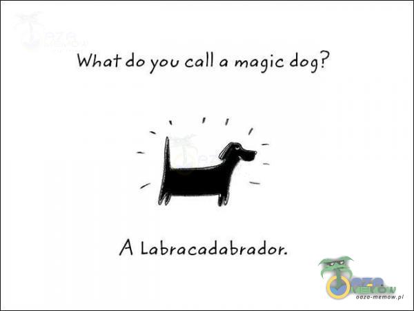 Whatdo you call a dog? A Labracadabtador.