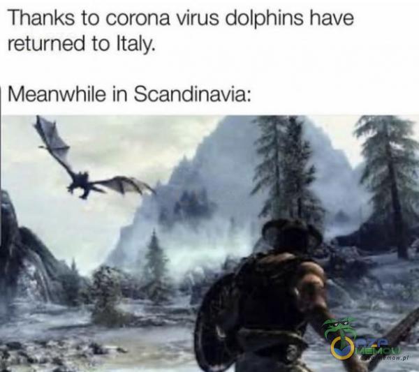 Thanks to corona vinus dalphins hava returned to italy, Meanwhile in Scandinavia:
