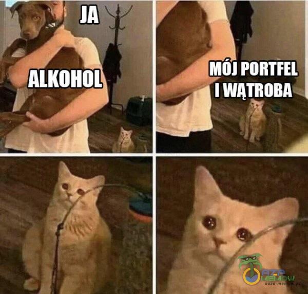 € ALKOHOL MÓJ PORTFEL I WĄTROBA