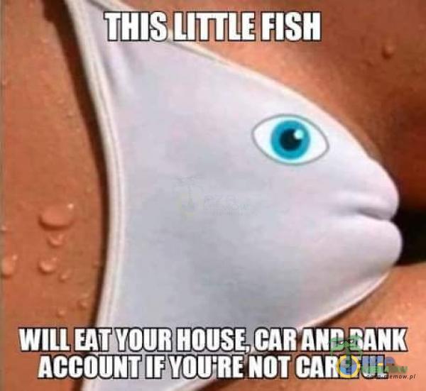 FISH BANIC; ACCOUNTIF NOT CAREFUL