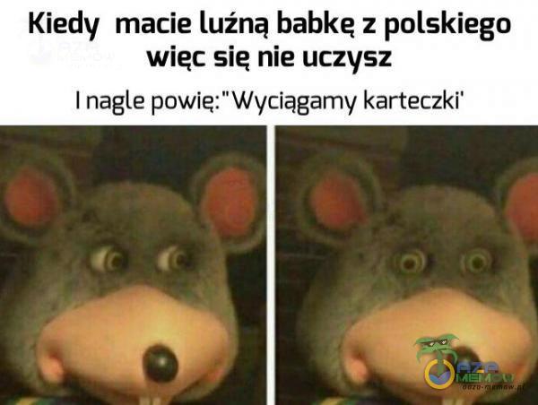 Codziennie tylko śmieszne memy, pasty, gify, suchary i filmy - przeglądaj, komentuj, dodawaj własne!