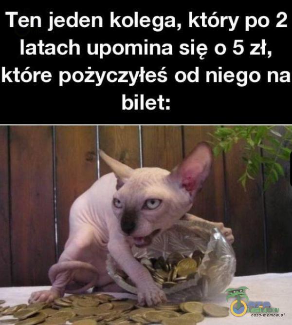 Ten jeden kolega, który po 2 latach upomina się 0 5 zł, które pożyczyłeś od niego na bilet: