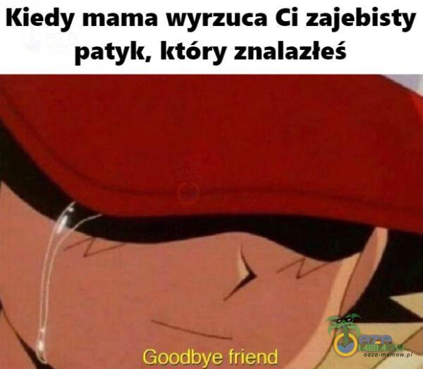 Kiedy mama wyrzuca Ci zajebi*** patyk, który znalazłeś Goodbye friend