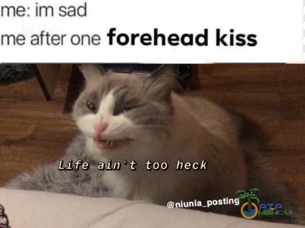 me: im sad me after one forehead kiss Lite a in t too heck