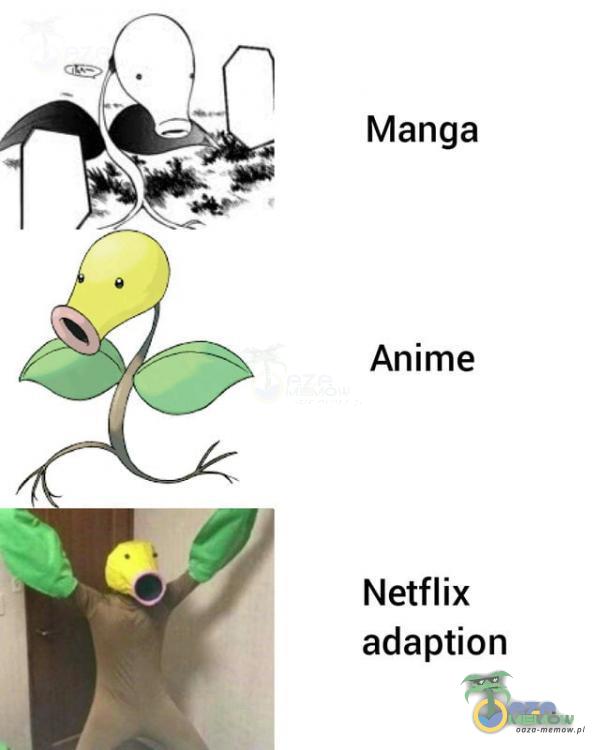 Manga Anime Netflix adaption