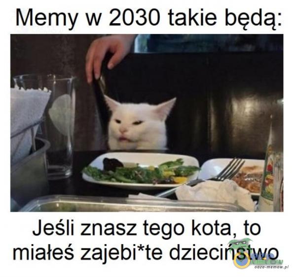 Memy w 2030 takie będą: Jeśli znasz tego kota, to miałeś zajebi*te dzieciństwo