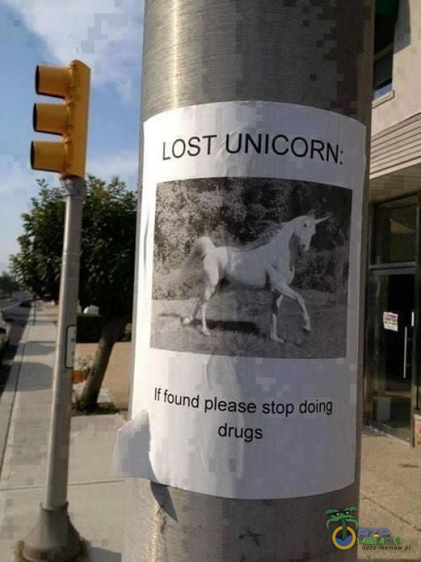 LOST UNICORN: Iffound ease stop doing drugs