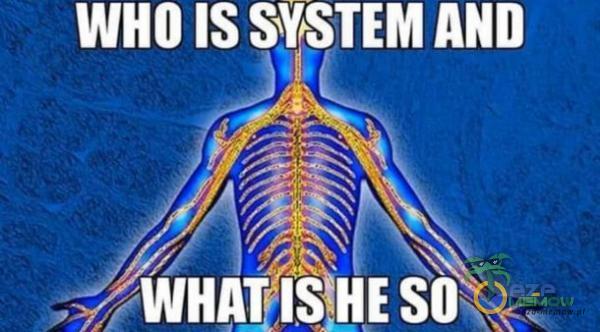WHO SYSTEM AND WHAT11SžHE SO