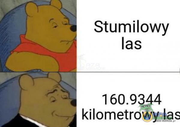 Stumilowy las kilometrowy las