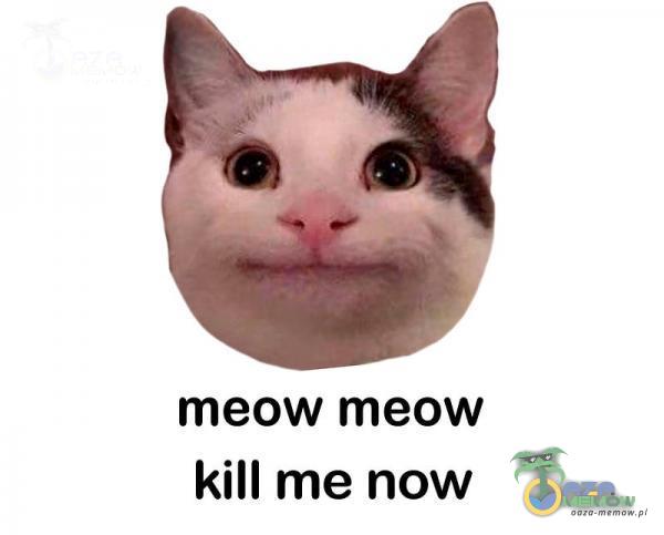 meow meow kill me now