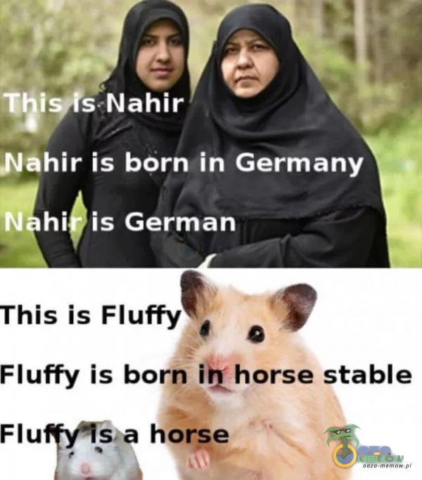 I s. Nahir Năhir is born in Germany N hi is German This is Fluffyt; Fluffy is born słabłe Flu sža horse