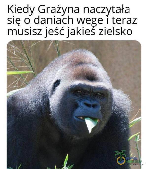 Kiedy Grażyna naczytała się o daniach wege I teraz musisz jeść jakies zielsko