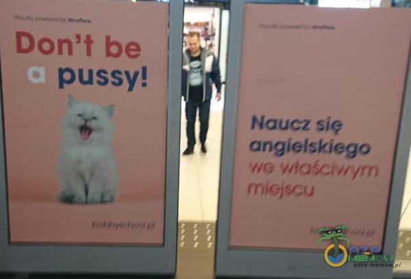 Don t be I pussy! Naucz się angielskiego właśŕctvł/rn rojc;