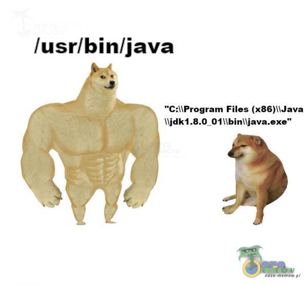 lusr/bin/java C:UProgram Files (x86)lJava