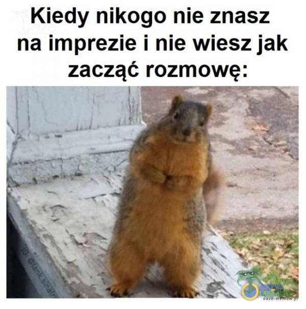 Kiedy nikogo nie znasz na imprezie i nie wiesz jak zacząć rozmowę: