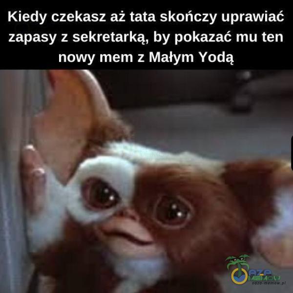 Kiedy czekasz aż tata skończy uprawiać zapasy z sekretarką, by pokazać mu ten nowy mem z Małym Yodą