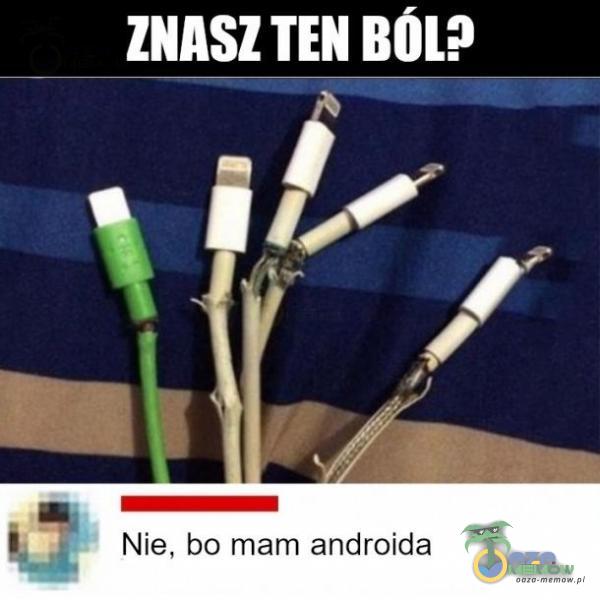 TANi Bń_l? / RZZ Ę Nie, bo mam androida