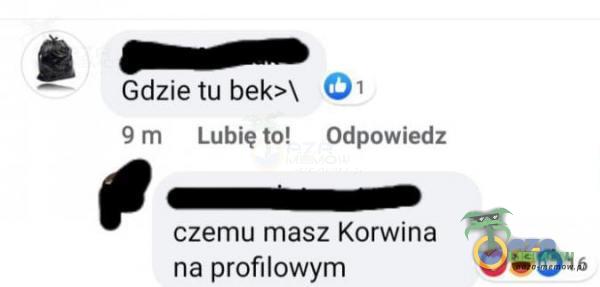 ść Gdzie tu bek>y 7! dm tlubiętol Odpówiedz e azmazeice czemu masz Korwina na profilowym GeD s