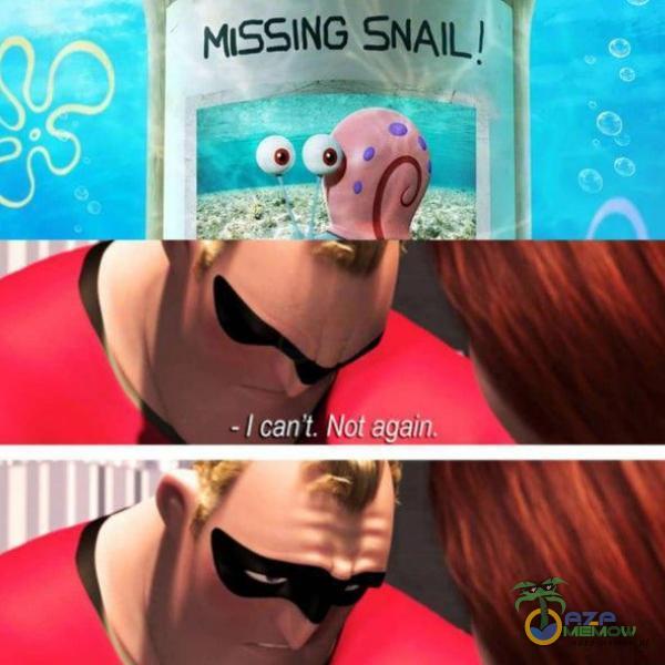 MISSING SNAIL! -1 cant. ot again.