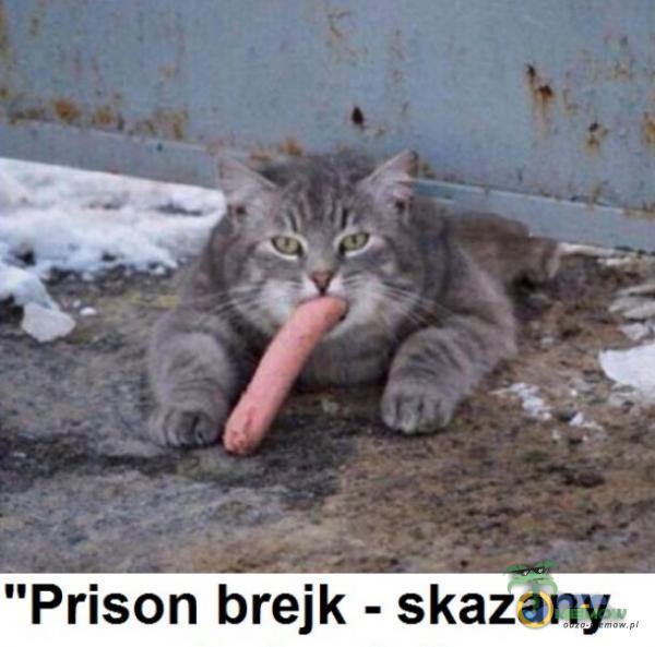 Prison brejk - skazany