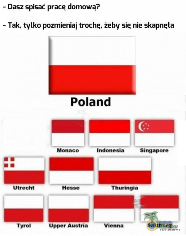 - Dasz spisać pracę domową? - Tak, tylko pozmieniaj trochą, żeby się nie skapnęła Poland m — łEd I— il_„ WMM