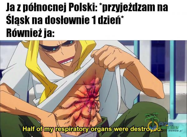 Ja z północnej Polski: *przyježdzam na Śląsk na dosłownie 1 dzień* Również ja: Half of my respiratory organs were destroyed.