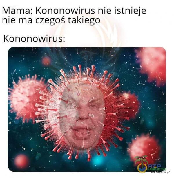 Mama: Kononowirus nie istnieje nie ma czegos takjego Kononowirus: