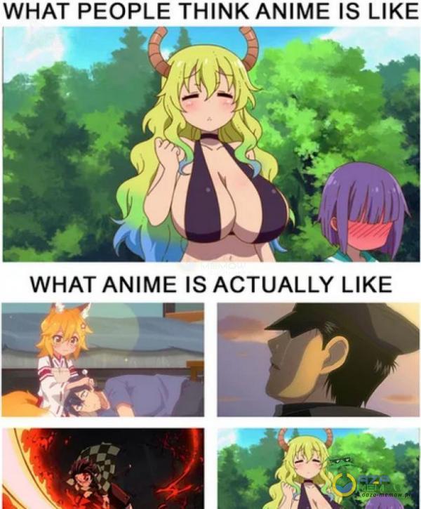 WHAT PEOPLE THINK ANIME IS LIKE WHAT ANIME IS ACTUALLY LIKE