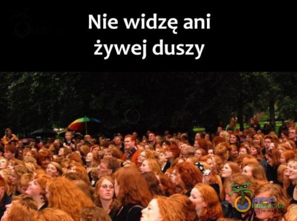 Nie widzę ani żywe] duszy