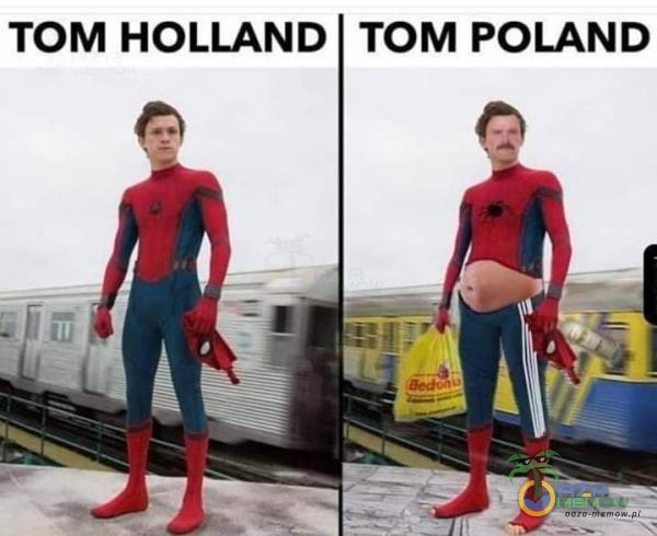 TOM HOLLAND TOM POLAND