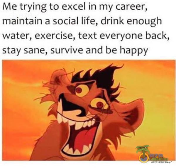 Me trying to excel in my career, maintain a social life, drink enough water, exercise, text everyone back, stay sane, survive and be happy