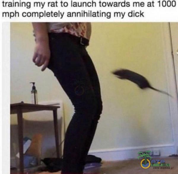 trainung my rat o launon towards me at 1000 tmph etely annihilating my dick