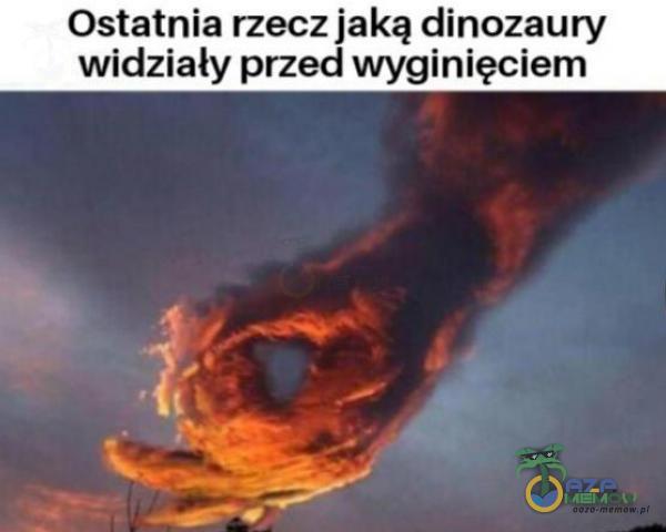 Ostatnia rzecz jaką dinozaury widziały przed wyginięciem