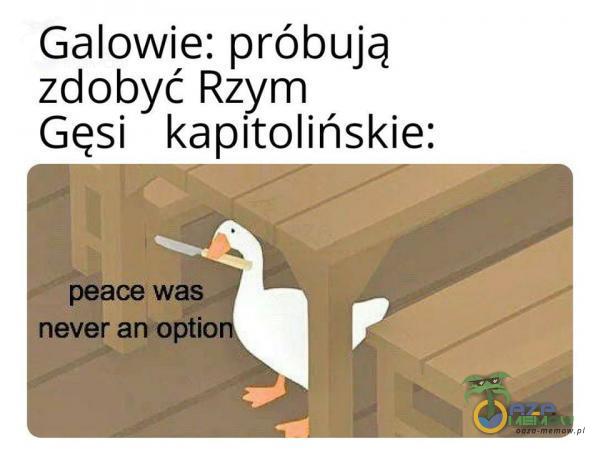 Gałowie: próbują zdobyć Rzym Gęsi kapitolińskie: peace was never an optio