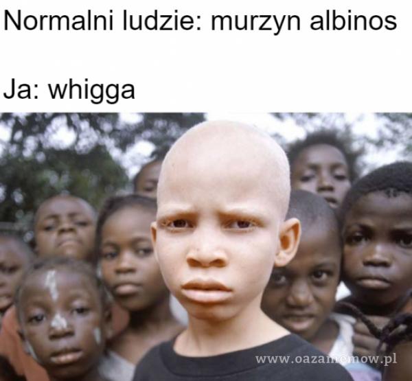 Normalni ludzie: murzyn albinos Ja: whigga